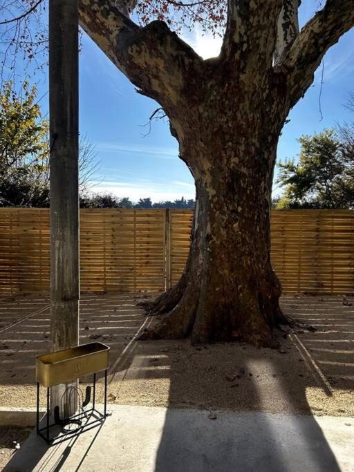 Superbe Appartement Dans Un Mas Nîmes Exteriér fotografie